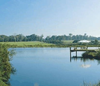 Forest Rise Eco Retreat - Accommodation VIC