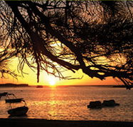 Pelican's Nest - Accommodation VIC