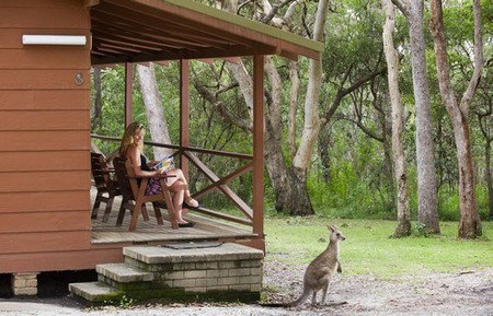 Hungry Head Cabins - Accommodation VIC 1