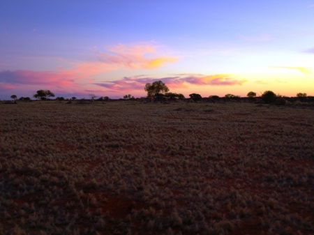 Wogarno Homestead - Accommodation VIC 0
