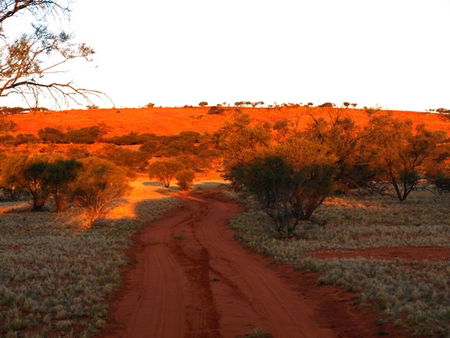 Wogarno Homestead - Accommodation VIC 1