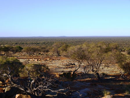 Wogarno Homestead - Accommodation VIC 2