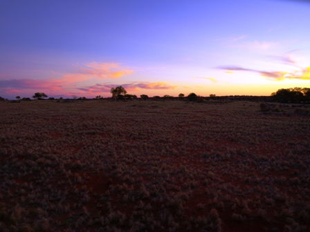Wogarno Homestead - Accommodation VIC 4