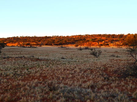 Wogarno Homestead - Accommodation VIC 5