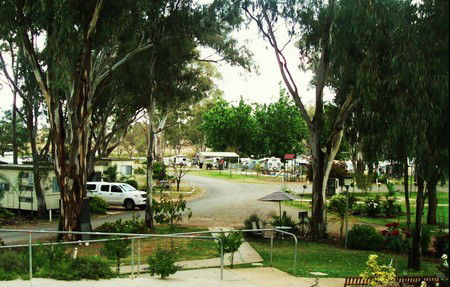 Buronga Riverside Tourist Park - Accommodation VIC 4