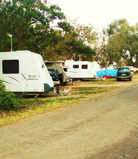 Buronga Riverside Tourist Park - Accommodation VIC 5