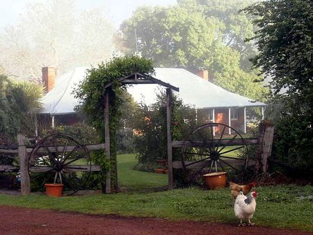 Clover Cottage Country Retreat - Accommodation VIC 4