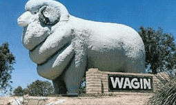 Wagin Motel - Accommodation VIC 0