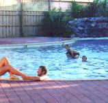 Shark Bay Caravan Park - Accommodation VIC
