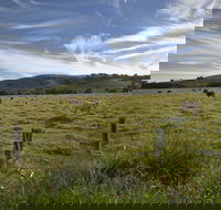 Annas Retreat - Accommodation VIC