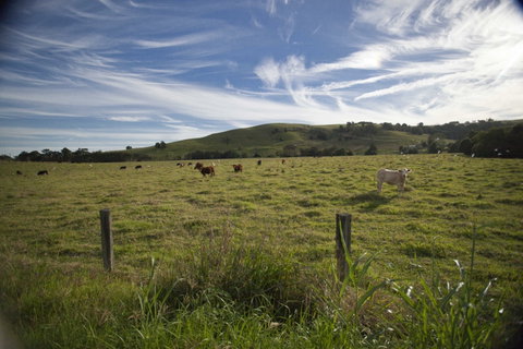 Annas Retreat - Accommodation VIC 0