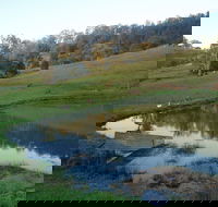 Barkeldine Farm Country Retreat - Accommodation VIC