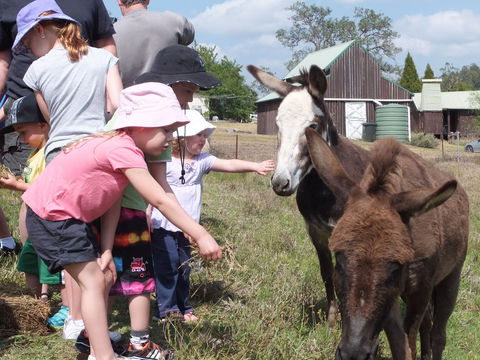 Barkeldine Farm Country Retreat - Accommodation VIC 2