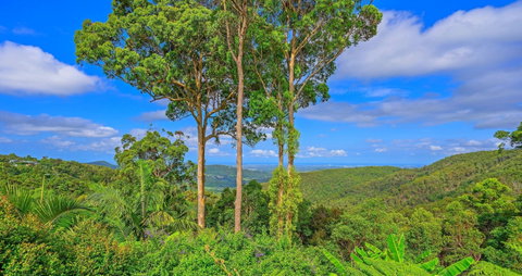 Cloud 9 Cliff Top Eagle Heights - Accommodation VIC 1