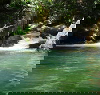 Daintree Secrets Rainforest Sanctuary - Accommodation VIC