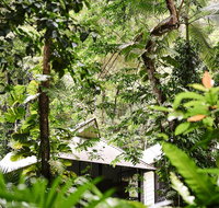 Daintree Ecolodge - Accommodation VIC