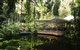 Daintree Ecolodge - thumb 1