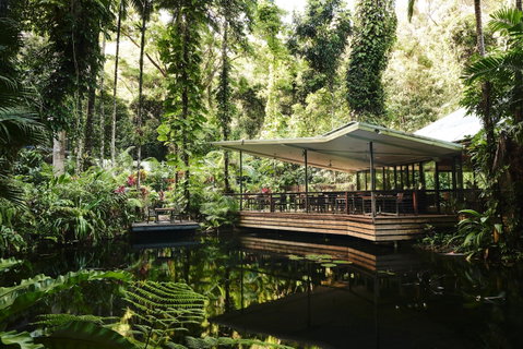 Daintree Ecolodge - Accommodation VIC 1
