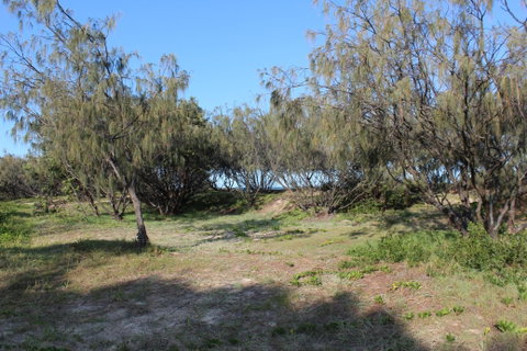 K'gari (Fraser Island) Camping, Great Sandy National Park - Accommodation VIC 1