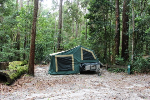K'gari (Fraser Island) Camping, Great Sandy National Park - Accommodation VIC 2
