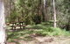 Mulloon Creek Campground - thumb 0