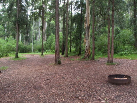 Murphys Glen Campground - Accommodation VIC 0