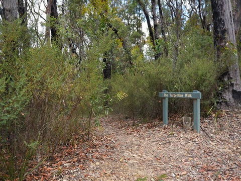 Murphys Glen Campground - Accommodation VIC 2
