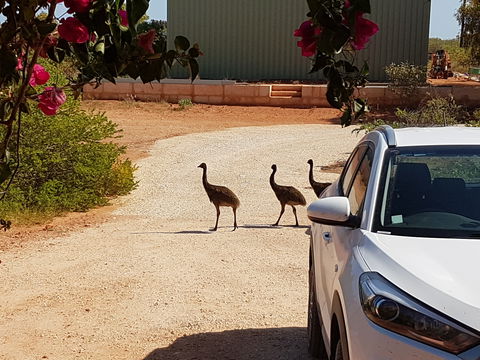 Ningaloo Bed And Breakfast - Accommodation VIC 1