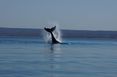 Ningaloo Bed And Breakfast - Accommodation VIC 2