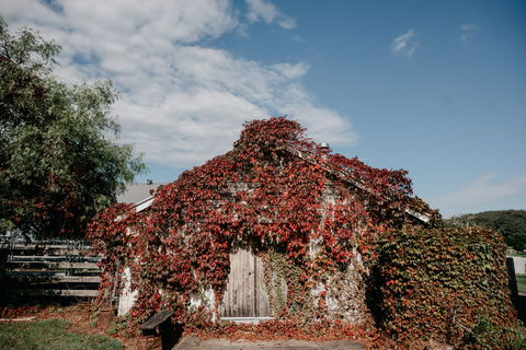 Willow Farm Berry - Accommodation VIC 2