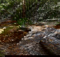 Wombat Creek campground - Accommodation VIC