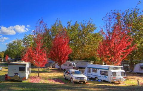 Beechworth Lake Sambell Caravan Park - Accommodation VIC 0