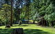Dingo Tops Campground - thumb 0