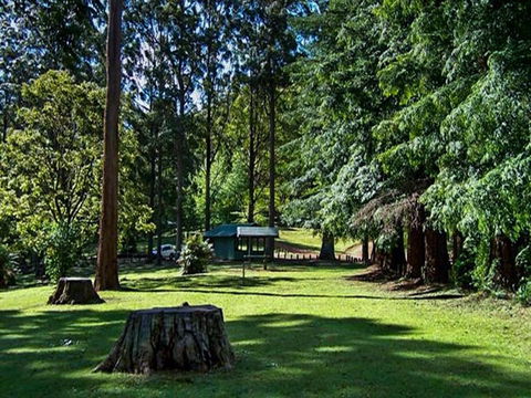 Dingo Tops Campground - Accommodation VIC 0