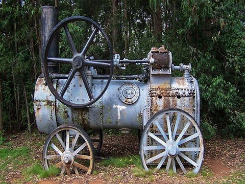 Dingo Tops Campground - Accommodation VIC 1