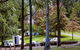 Dingo Tops Campground - thumb 2