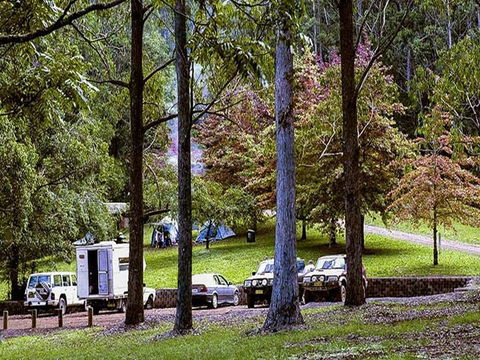 Dingo Tops Campground - Accommodation VIC 2