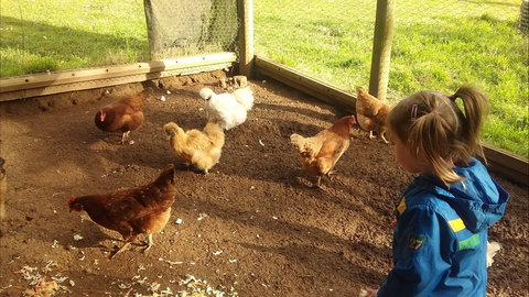 Emerald Park Holiday Farm - Accommodation VIC 2