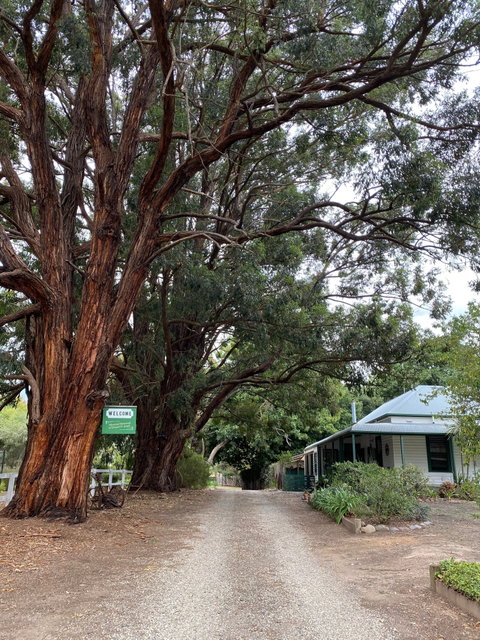 Fernleigh Accommodation - Accommodation VIC 0