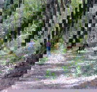 Honeymoon Pool - Gelcoat Camp at Wellington National Park - Accommodation VIC