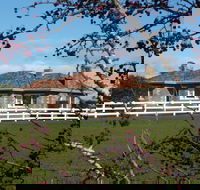 Little Sunnyside Accommodation - Accommodation VIC