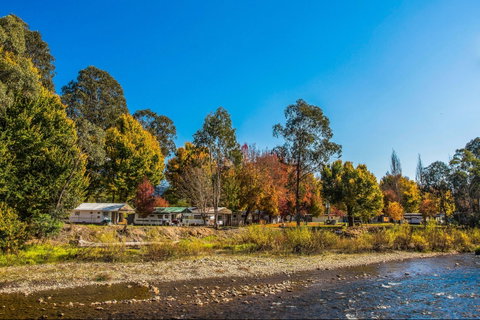 Porepunkah Bridge Holiday Park - Accommodation VIC 1