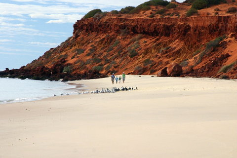 South Gregories Camp At Francois Peron National Park - Accommodation VIC 0