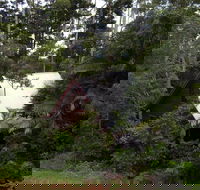 Turkeys Nest Rainforest Cottages Mt Glorious - Accommodation VIC