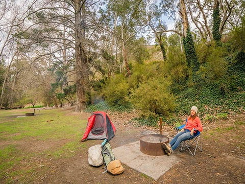 Wombeyan Caves Campground - Accommodation VIC 2