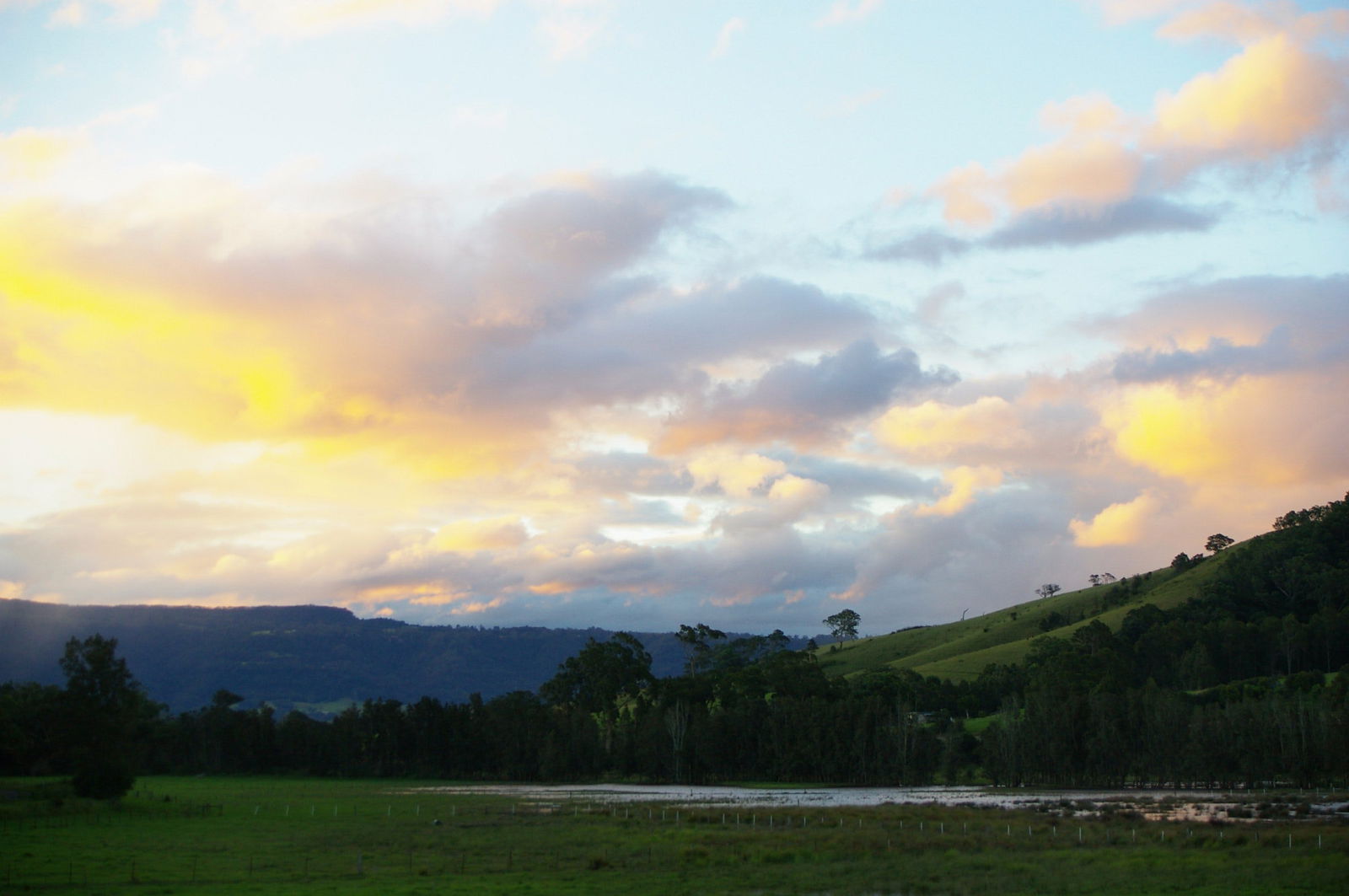 Back Forest NSW Accommodation VIC
