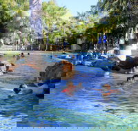 Big4 Aussie Outback Oasis Holiday Park - Accommodation VIC