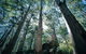 Conto Field Camp At Leeuwin-Naturaliste National Park - thumb 1