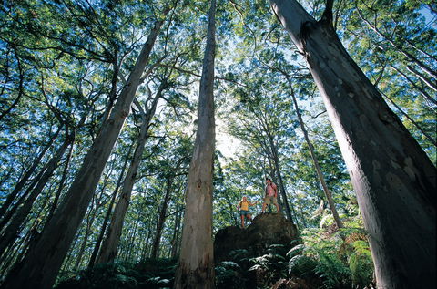 Conto Field Camp At Leeuwin-Naturaliste National Park - Accommodation VIC 1