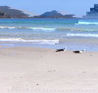 Eagles Rise Tasmania - Accommodation VIC